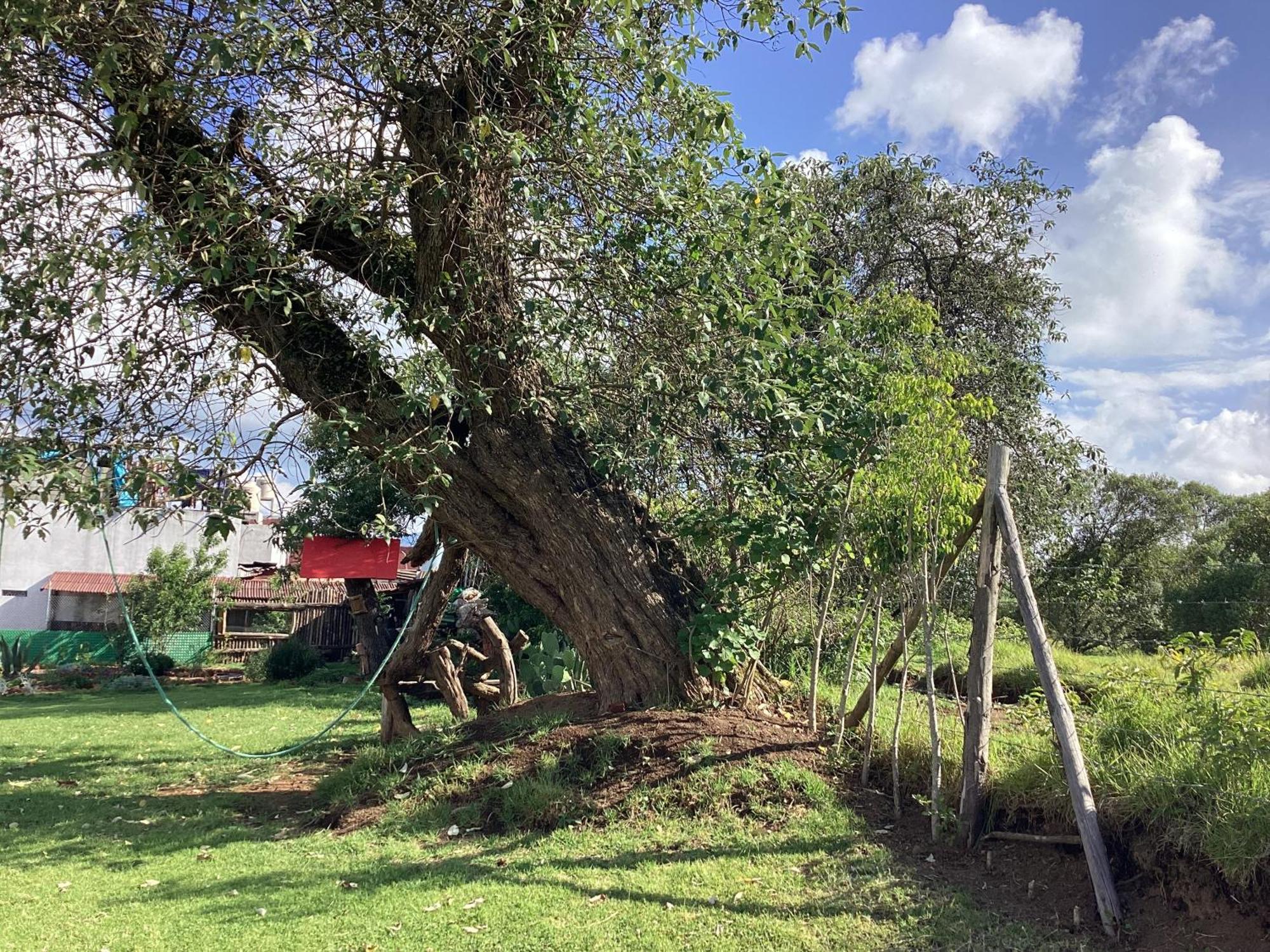 Hotel Las Carretas , Spa Y Temazcal Zacatlán Εξωτερικό φωτογραφία